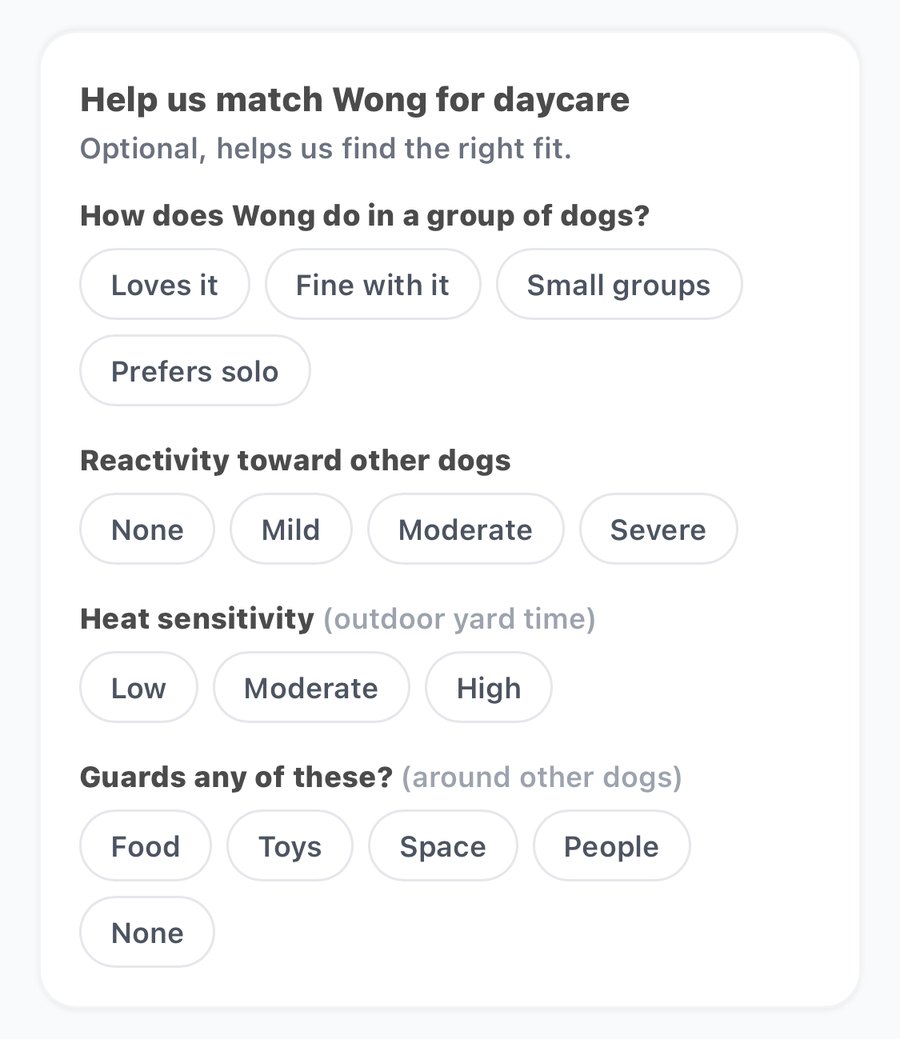 askKynos daycare questions: how Wong does in a group of dogs, reactivity toward other dogs, heat sensitivity during outdoor yard time, and whether he guards food, toys, space or people